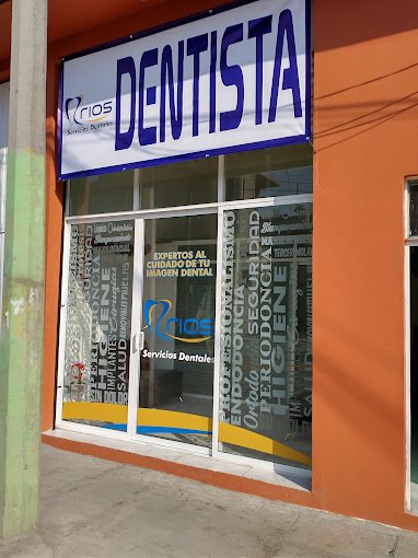 Descripción de la imagen